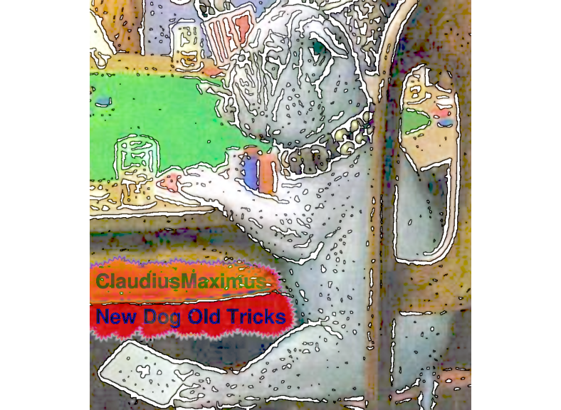 New Dog Old Tricks