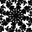 1 15/32 45 51 1/4 155 (1.5234455578481403)