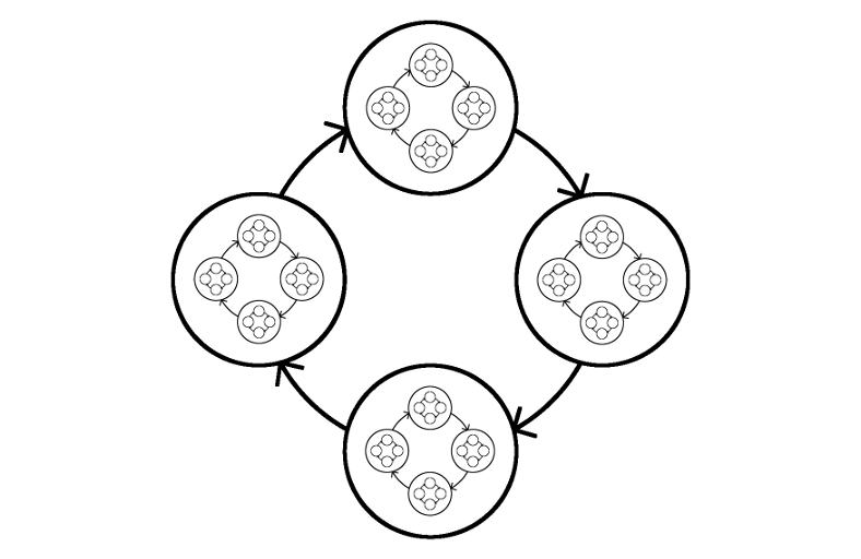 Life Cycles