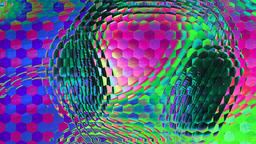 Ommatidia 4