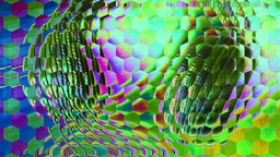 Ommatidia 5