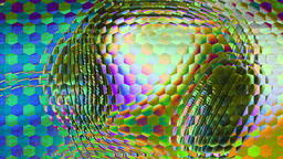 Ommatidia 6