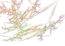 Affinity-10