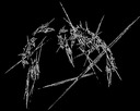 Affinity-0001