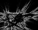 Affinity-0002