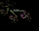 Affinity-0010
