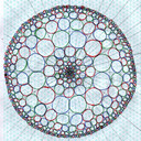 hyperbolic-mandala-12-rgb