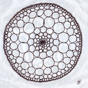 hyperbolic-mandala-12