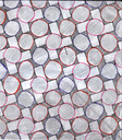 skew-cross-circle-tiling