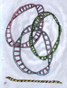 snakes-and-ladders