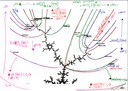 scribbles-2