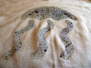 2014-07-21_jellyfish_tshirt_2