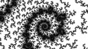 Coil