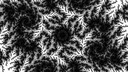 Octogram