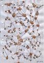 constellations