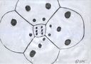 dice