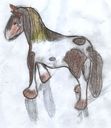 pony