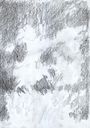 rose-shadow-1