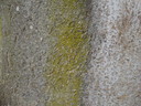 DSC01409
