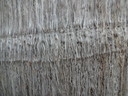 DSC01419