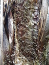 DSC01481