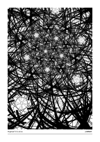 Haystack Situation #20250727