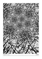 Haystack Situation #20250906