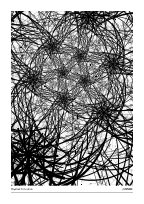 Haystack Situation #20250918