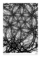 Haystack Situation #20251213