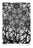 Haystack Situation #20260627