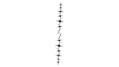 25